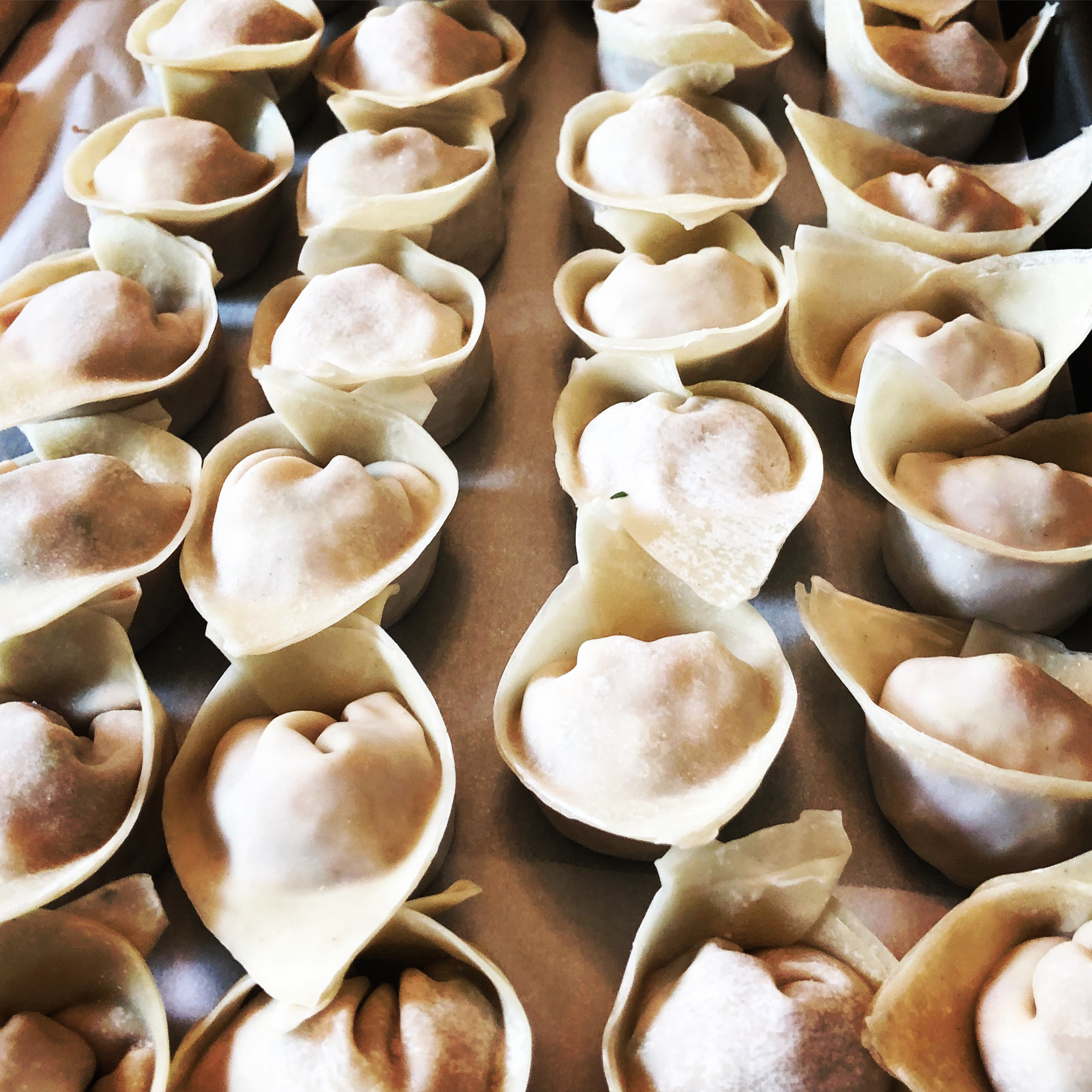 The Best Pork and Cabbage Dumplings